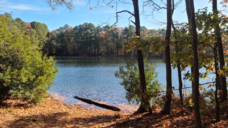 Sandy Bottom Nature Park - Hampton, VA
