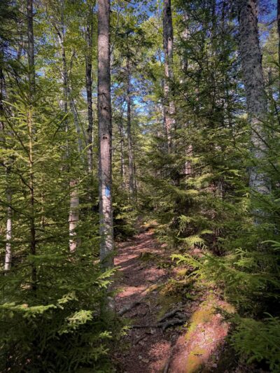 Salt Pond Preserve Frenchman Bay Conservancy - Hancock, ME