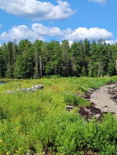 Salt Pond Preserve Frenchman Bay Conservancy - Hancock, ME