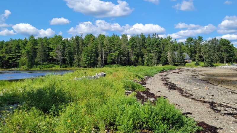 Salt Pond Preserve Frenchman Bay Conservancy - Hancock, ME