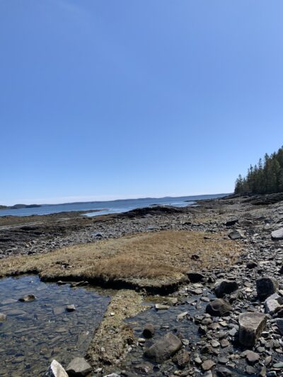 Salt Pond Preserve Frenchman Bay Conservancy - Hancock, ME
