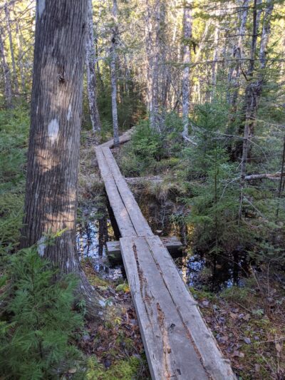 Salt Pond Preserve Frenchman Bay Conservancy - Hancock, ME