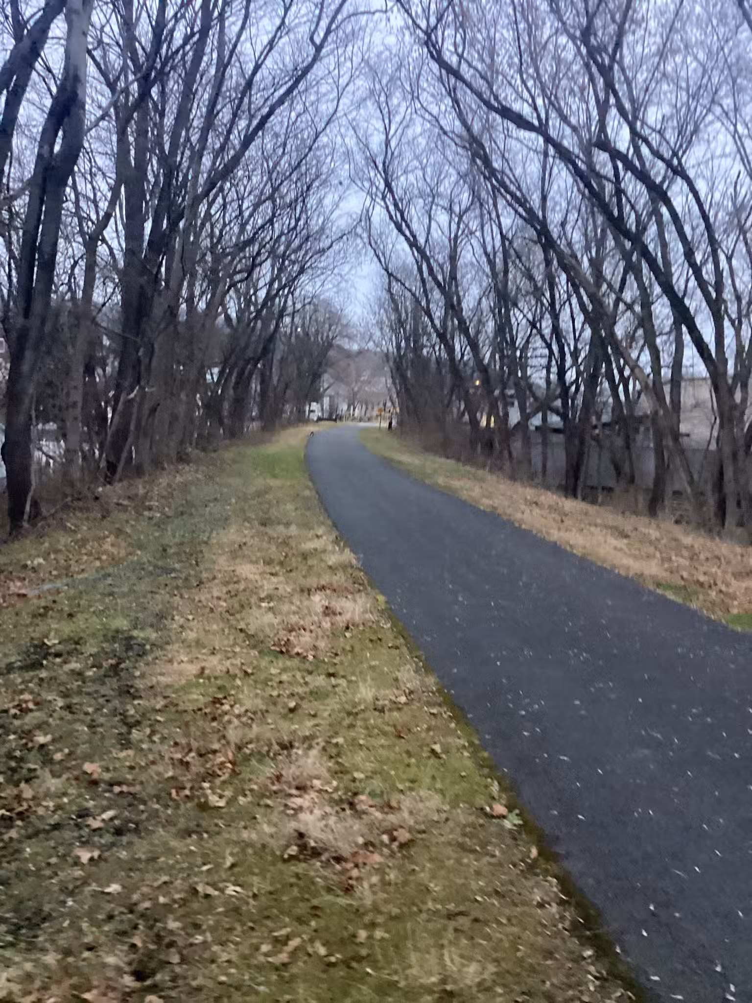 Joseph Hancock Jr. Primitive Park - Hancock, MD