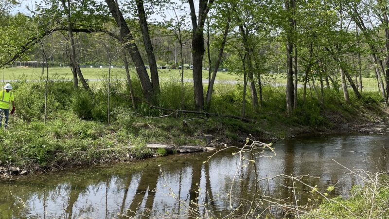 Kirkwood Park - Hancock, MD