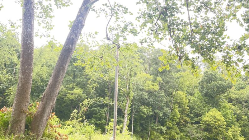 Kirkwood Park - Hancock, MD