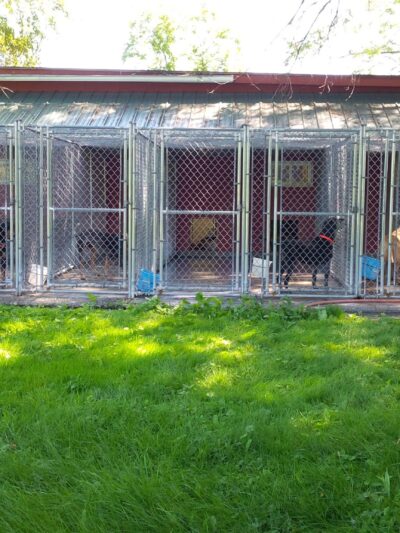 Hannacroix Kennels - Hannacroix, NY