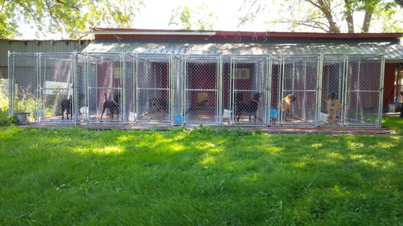 Hannacroix Kennels - Hannacroix, NY