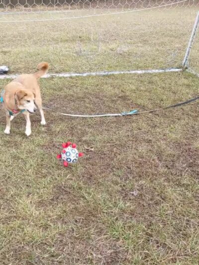 Jessup Park - Hanover, MD