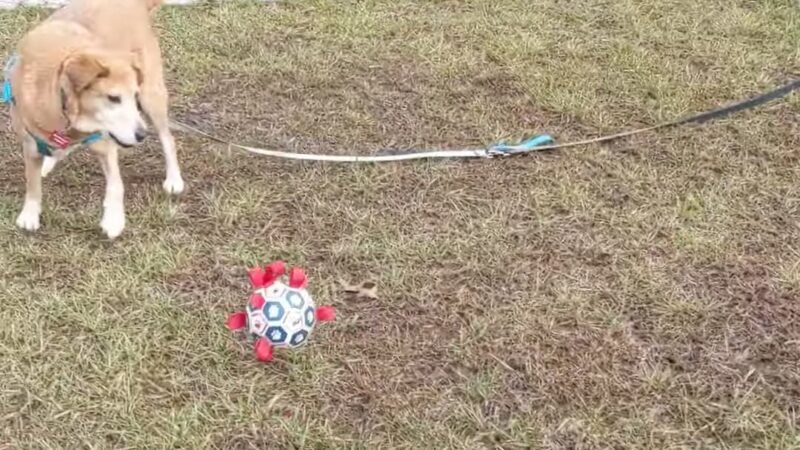 Jessup Park - Hanover, MD