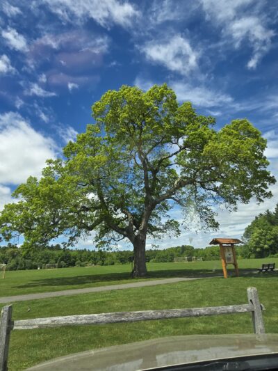 Forge Pond Park - Hanover, MA