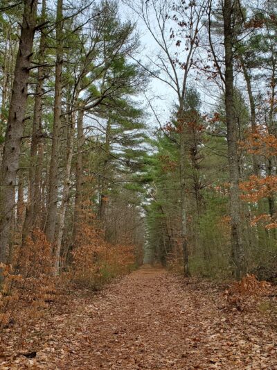 Forge Pond Park - Hanover, MA