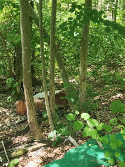 Hanover Branch Rail Trail - Hanover, MA