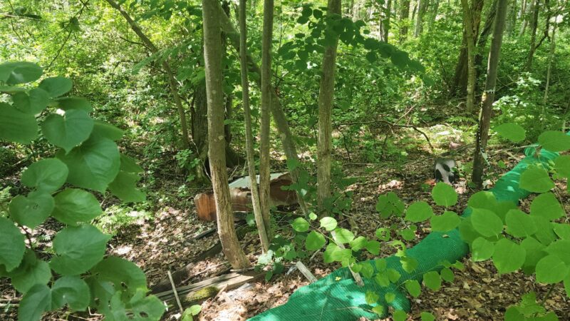 Hanover Branch Rail Trail - Hanover, MA