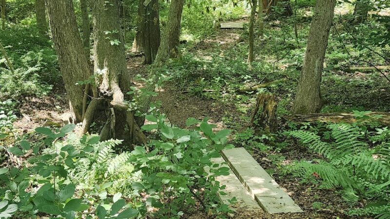 Hanover Branch Rail Trail - Hanover, MA