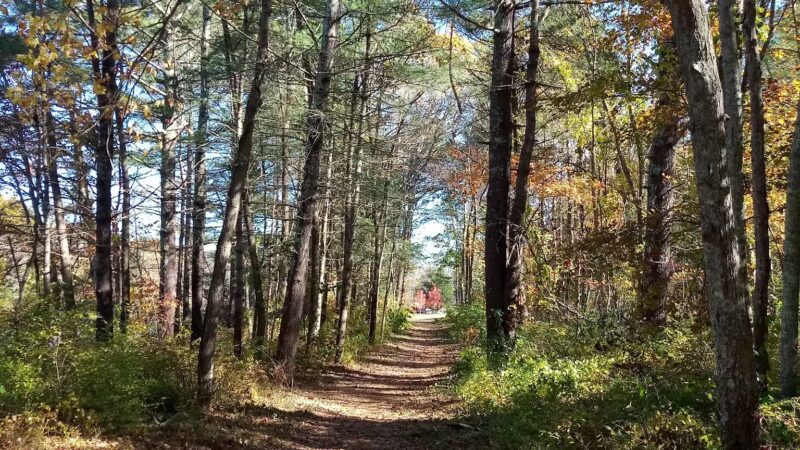 Ludden’s Ford Park - Hanover, MA