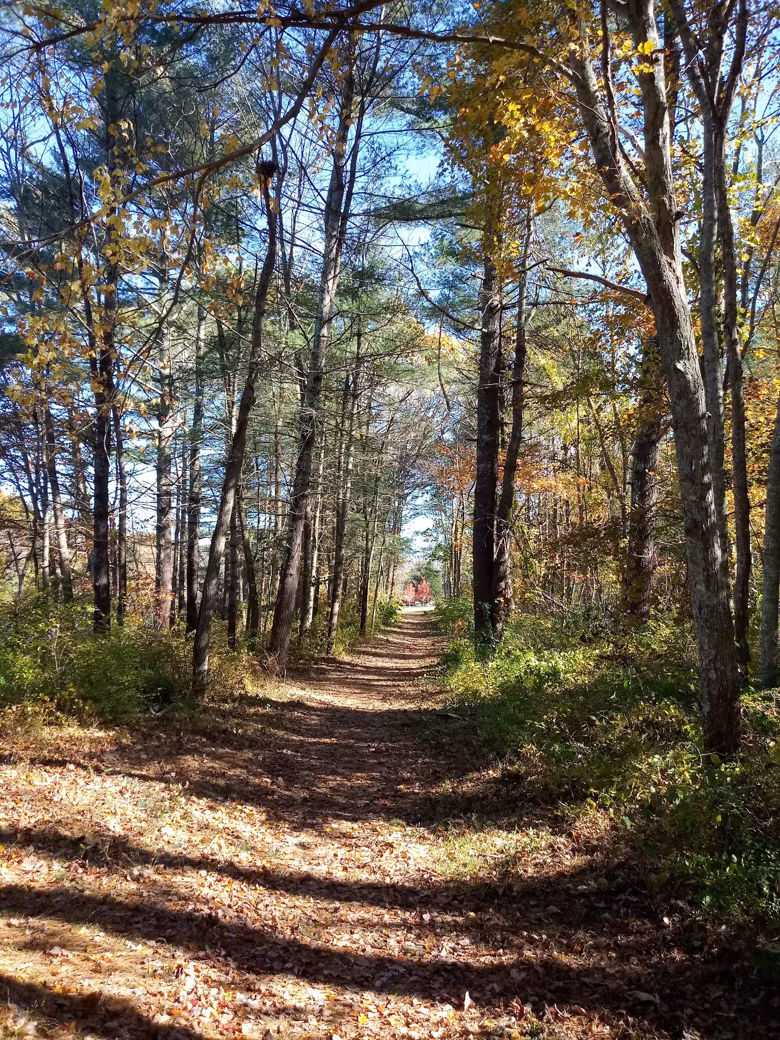 Ludden’s Ford Park - Hanover, MA