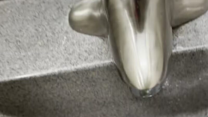 Dog Park at Love’s Travel Stops - Hanson, KY