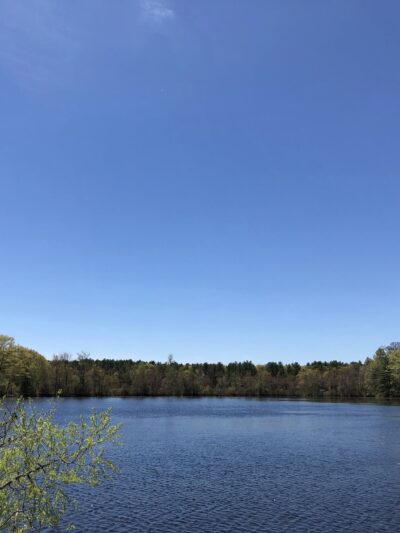 Burrage Pond Wildlife Management Area - Hanson, MA