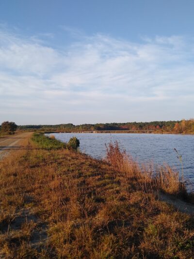 Burrage Pond Wildlife Management Area - Hanson, MA