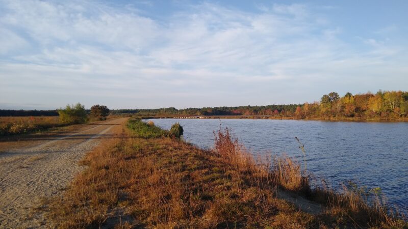 Burrage Pond Wildlife Management Area - Hanson, MA