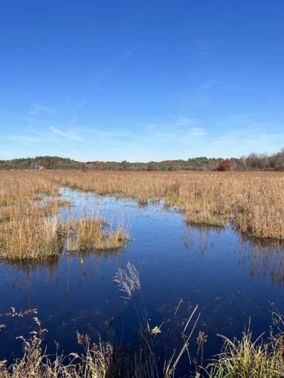 Burrage Pond Wildlife Management Area - Hanson, MA
