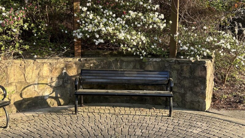 John R. Lewis Memorial Park & Dog Park - Hapeville, GA