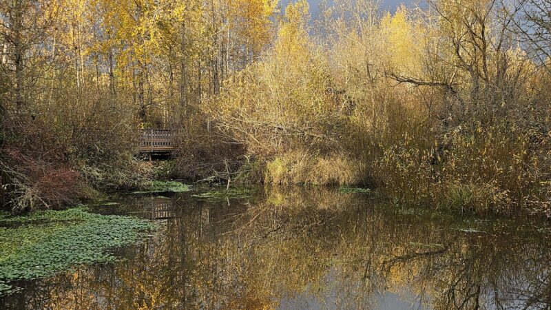 Happy Valley Park - Happy Valley, OR