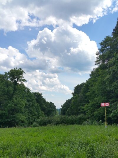 Lick Creek Trailhead - Hardinsburg, IN