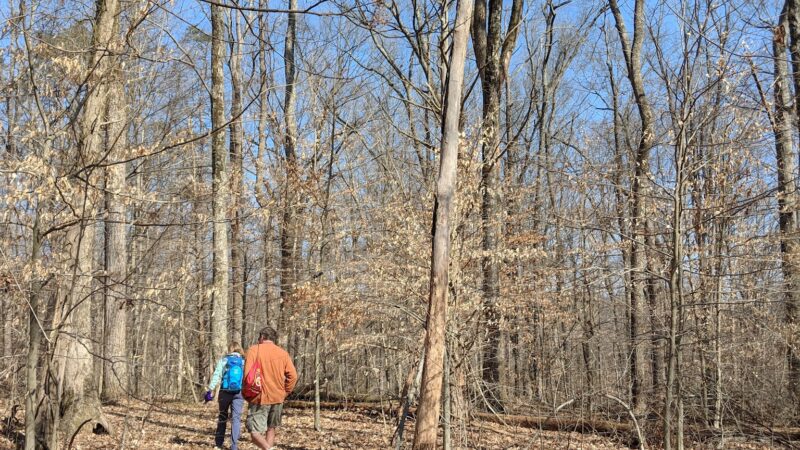 Lick Creek Trailhead - Hardinsburg, IN