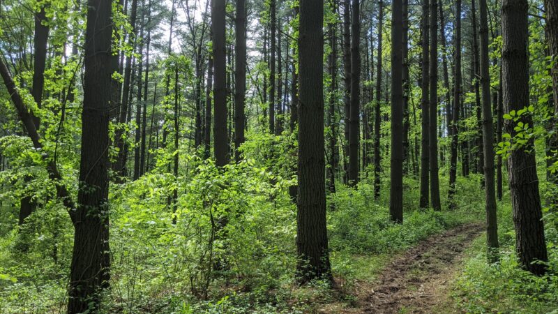 Lick Creek Trailhead - Hardinsburg, IN