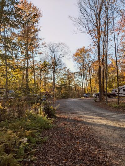 Belden Hill Campground - Harpursville, NY