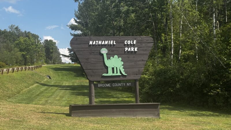 Nathaniel Cole Park - Harpursville, NY