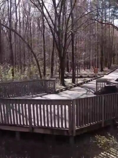 Pharr Mill Road Park - Harrisburg, NC