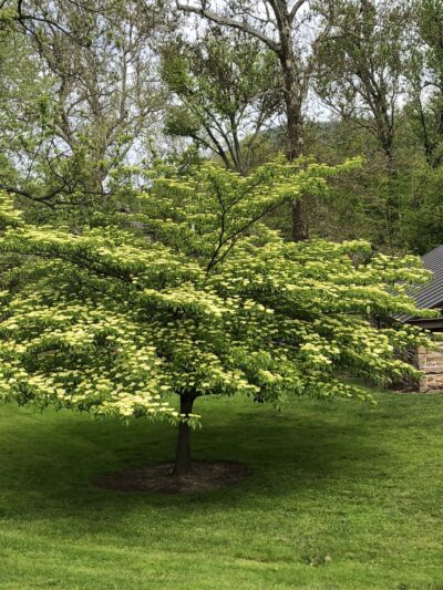 Dauphin County Parks Operation - Harrisburg, PA