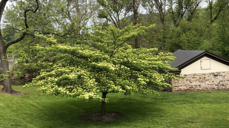 Dauphin County Parks Operation - Harrisburg, PA