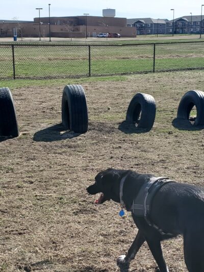 Rover Range Dog Park - Harrisburg, SD