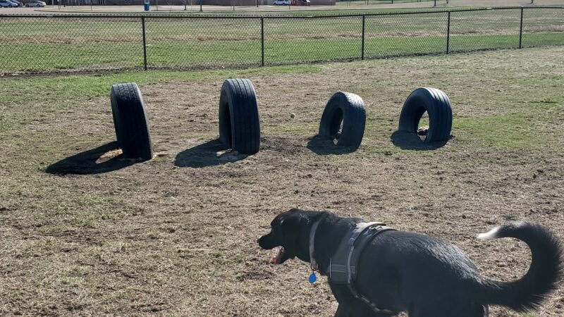Rover Range Dog Park - Harrisburg, SD