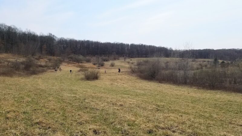 Oak Ridge Pointing Dog Club - Harrisville, PA