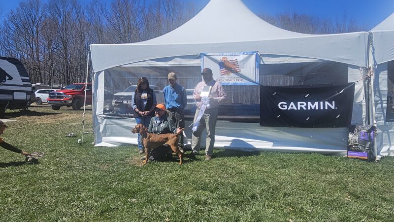 Oak Ridge Pointing Dog Club - Harrisville, PA