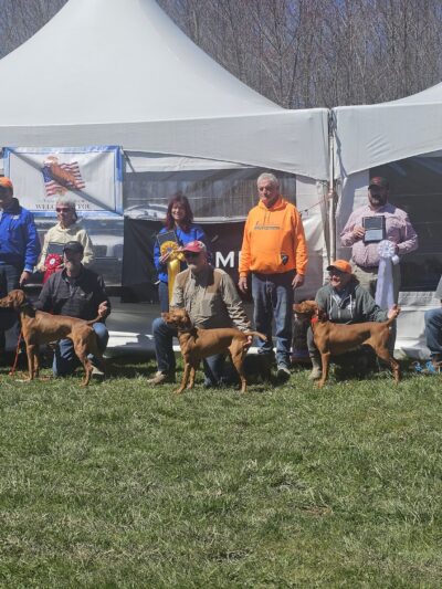 Oak Ridge Pointing Dog Club - Harrisville, PA
