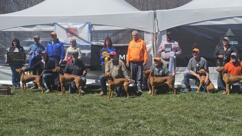 Oak Ridge Pointing Dog Club - Harrisville, PA