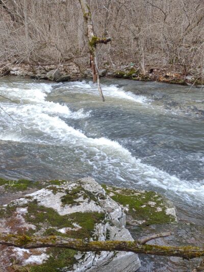Chinquapin Trail - Harrodsburg, KY