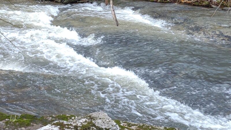 Chinquapin Trail - Harrodsburg, KY
