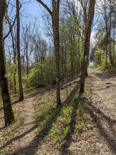 Chinquapin Trail - Harrodsburg, KY