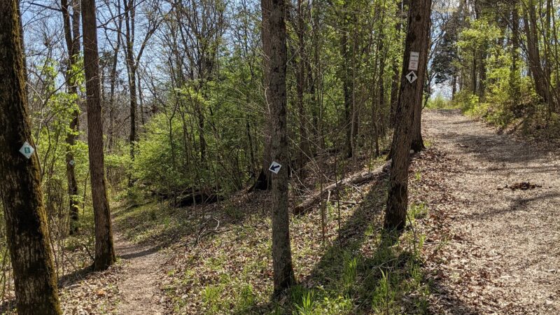 Chinquapin Trail - Harrodsburg, KY