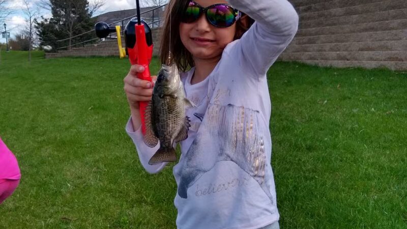 Dogs Allowed Off-Leash (Boat Landing ONLY) - Hartford, WI