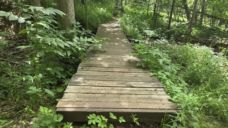 Ice Age Trail Parking Lot — Monches/Merton - Hartland, WI