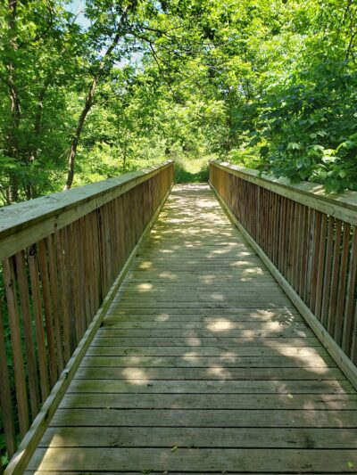 Hart Creek Conservation Area - Hartsburg, MO