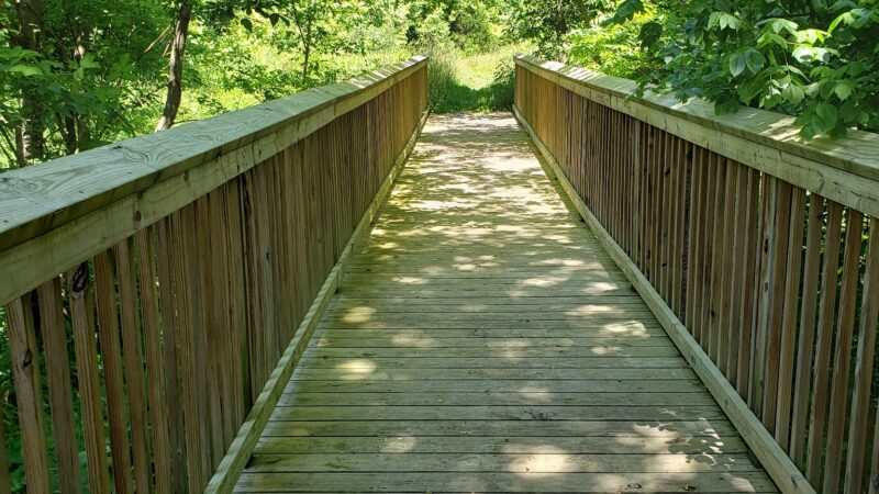 Hart Creek Conservation Area - Hartsburg, MO