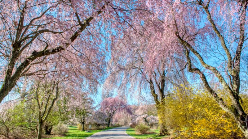 Hart’s Brook Park and Preserve - Hartsdale, NY